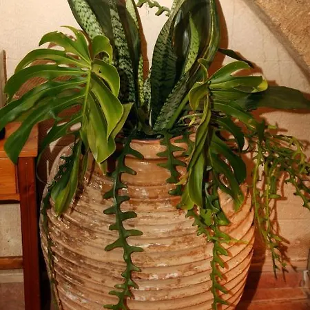 شقة Palazzo Di Pietro *