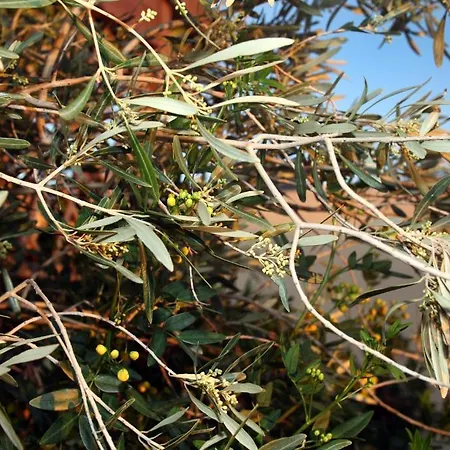 Lägenhet Palazzo Di Pietro *