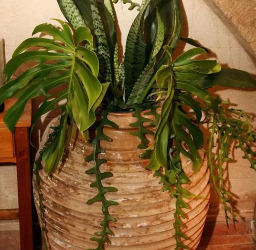 Apartamento Palazzo Di Pietro *