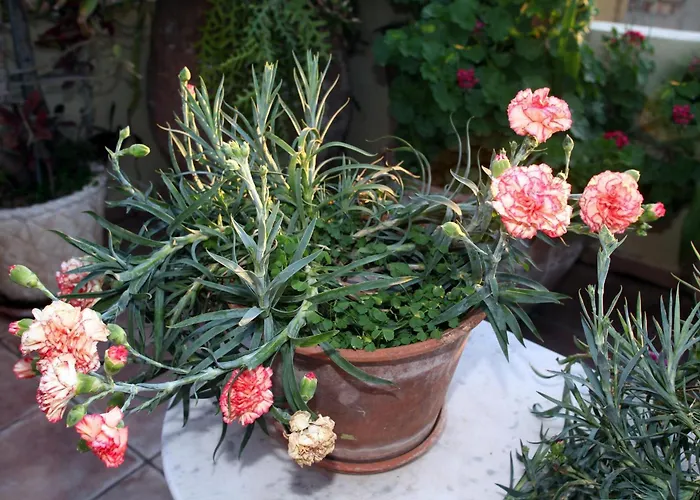 Palazzo Di Pietro Apartamento