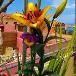 Lejlighed Palazzo Di Pietro Chania (Crete)