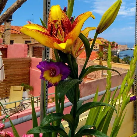 Апартаменти Palazzo Di Pietro Ханья (Крит)