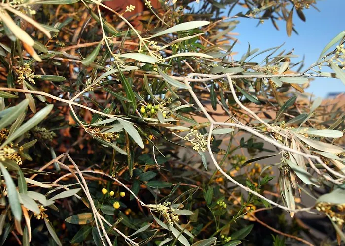 Lejlighed Palazzo Di Pietro *